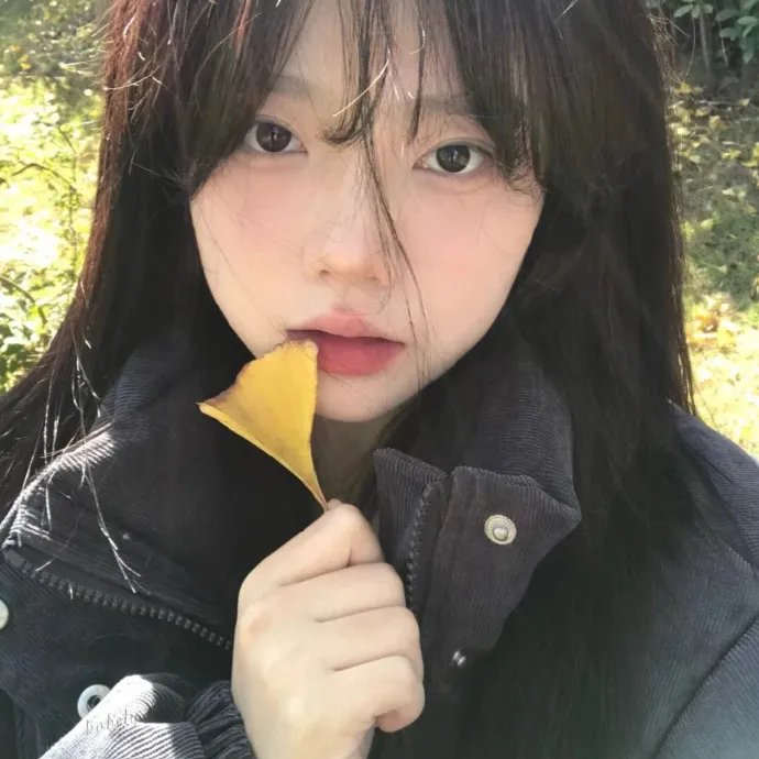 从前有只狗